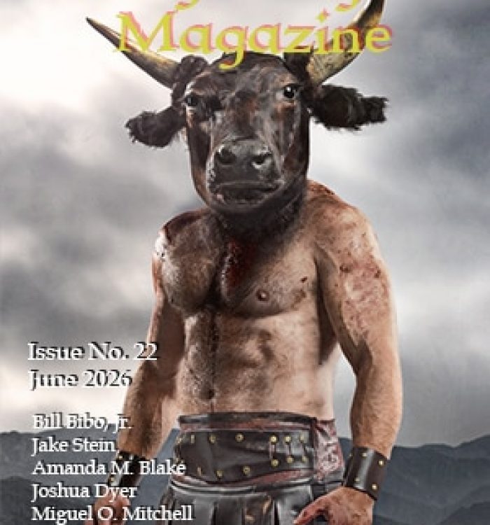 Issue Twenty-Two Available!