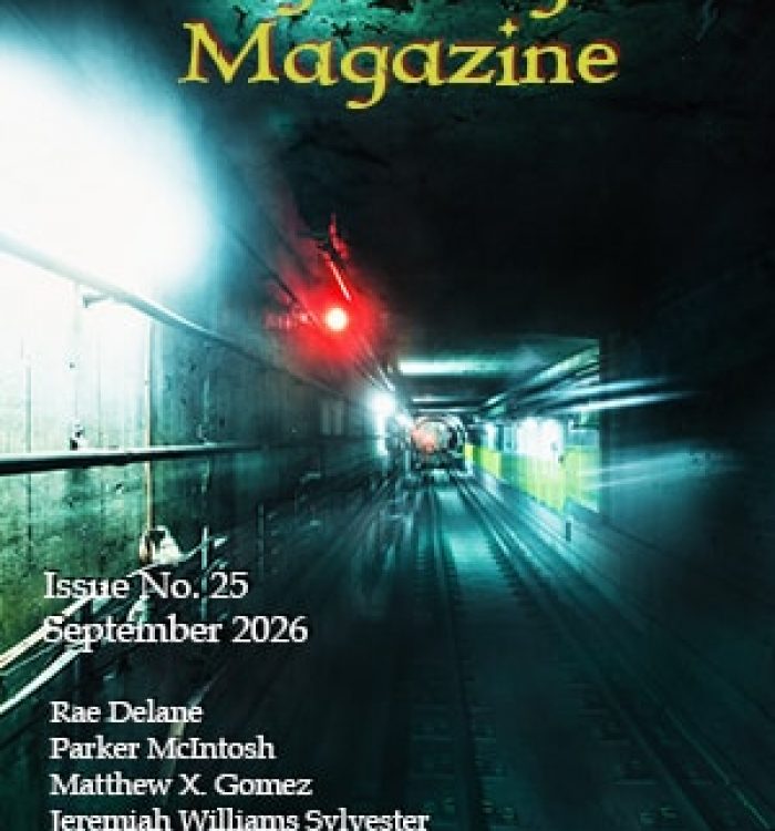 Cover Reveal: Issue 25