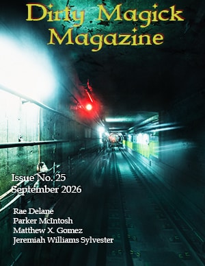 Cover Reveal: Issue 25